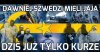 Dawniej Szwedzi mieli jaja