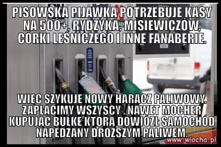 Gdzie są te wszystkie koorwy co ryczały