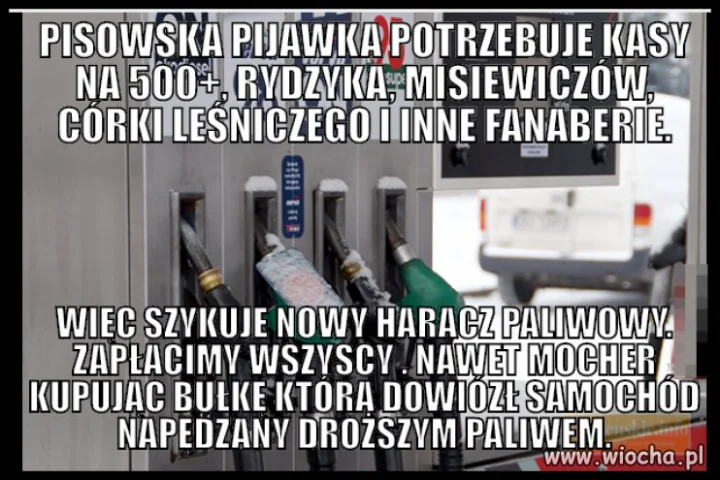 Gdzie są te wszystkie koorwy co ryczały