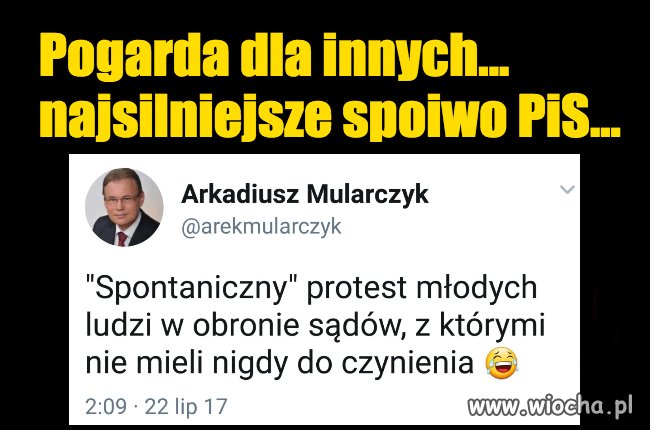 No bo oni po prostu gardzą Polakami