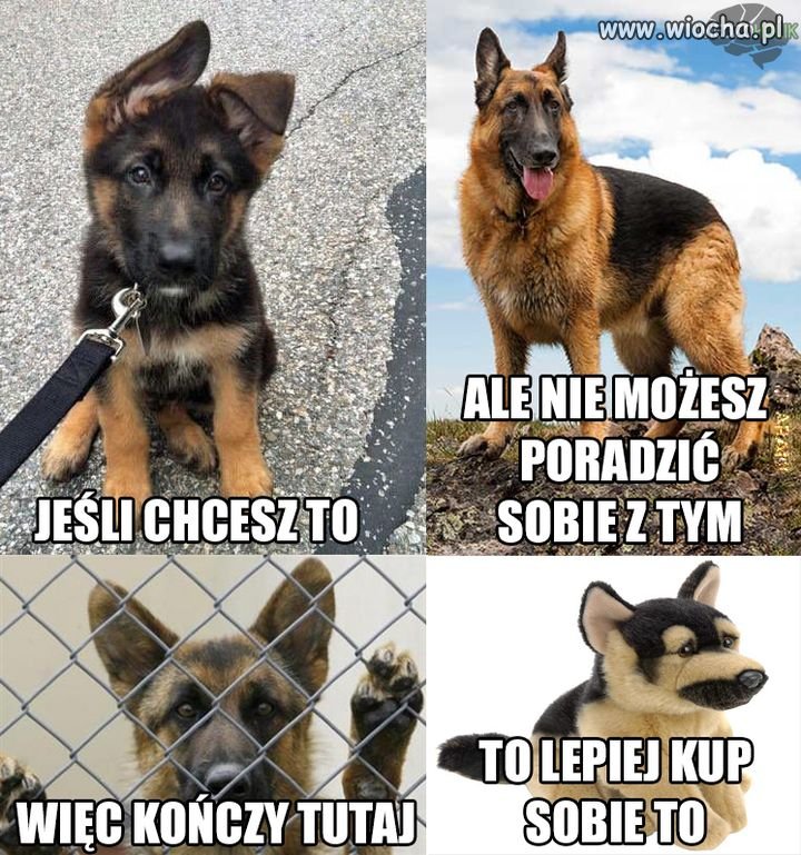Miej TO na uwadze