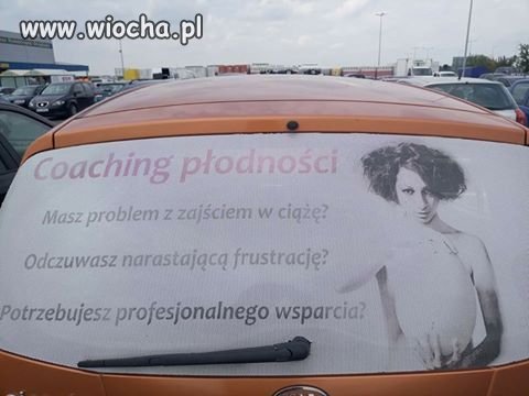 Profesjonalne wsparcie ?
