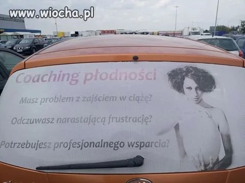 Profesjonalne wsparcie ?