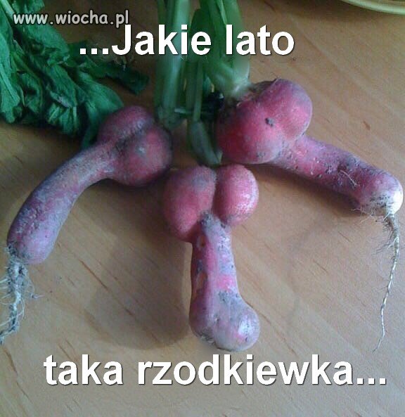 Nic dodać, nic ująć