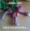 Nic dodać, nic ująć