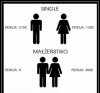 Single 