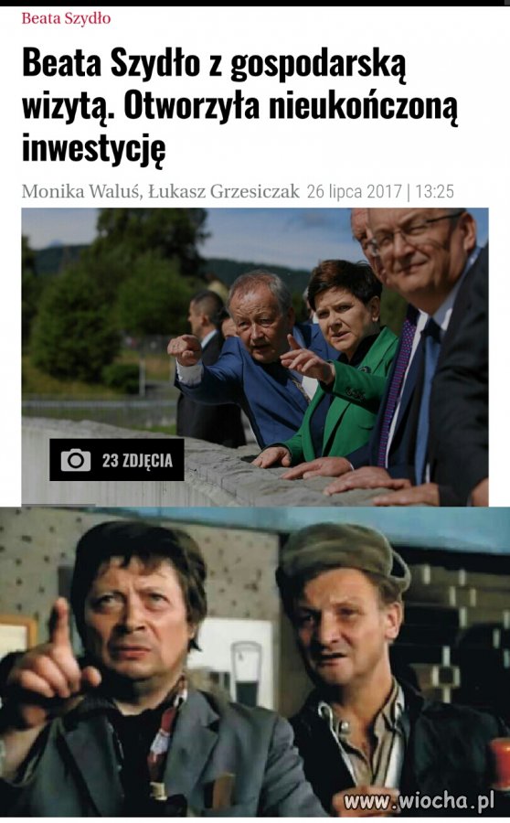 Bareja wiecznie żywy