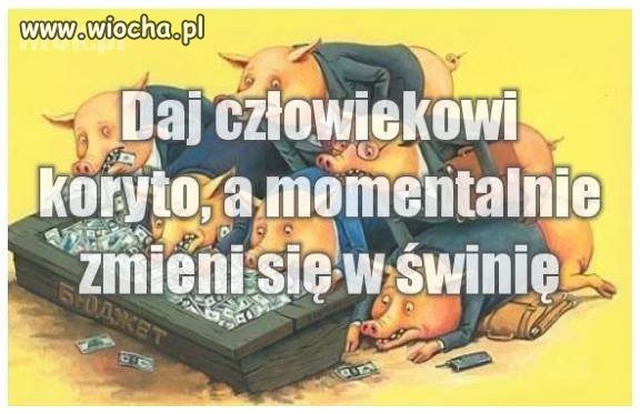 Daj człowiekowi