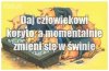 Daj człowiekowi