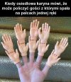 Karyny takie są