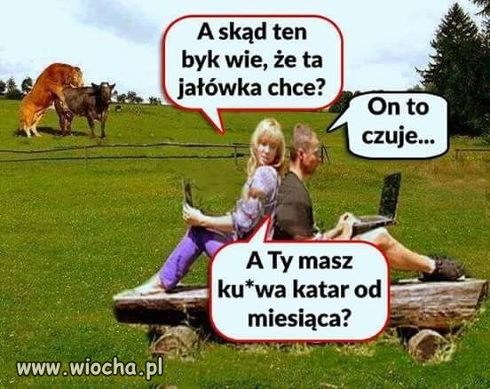 Katar