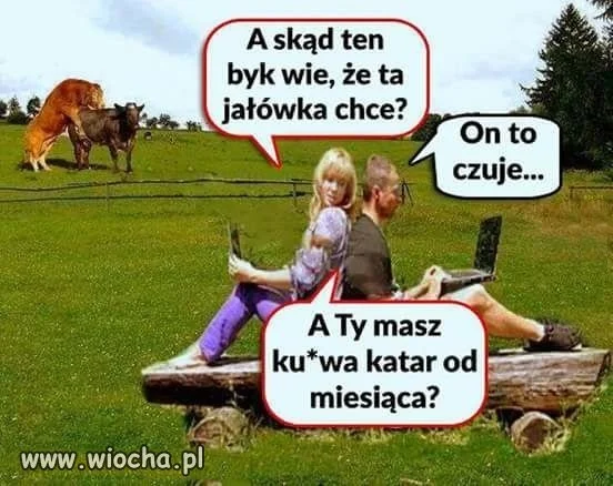 Katar