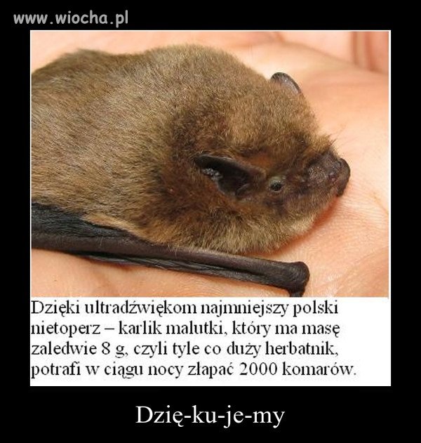 Oby tak dalej.