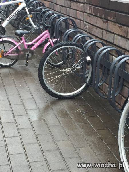 I po rowerze