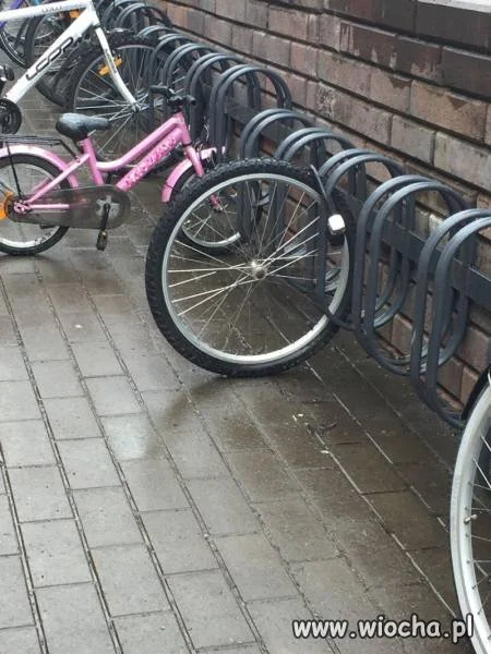 I po rowerze