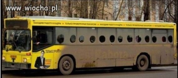 Czyste linie autobusowe