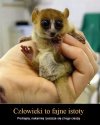 Coś w tym jest