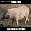 Pułapka