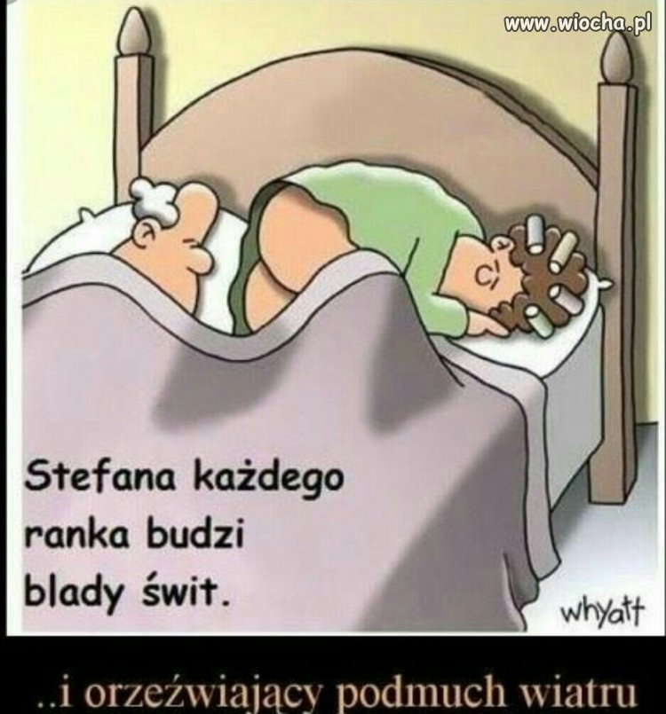 Pobudka Stefana