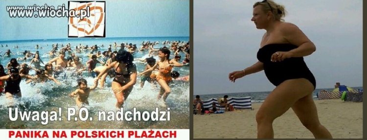 Na pewno PO
