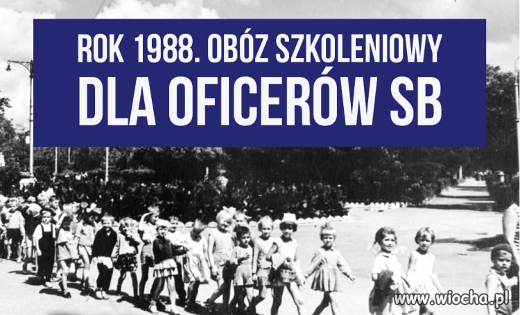 Oficerowie