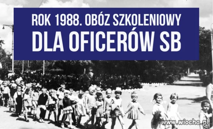 Oficerowie