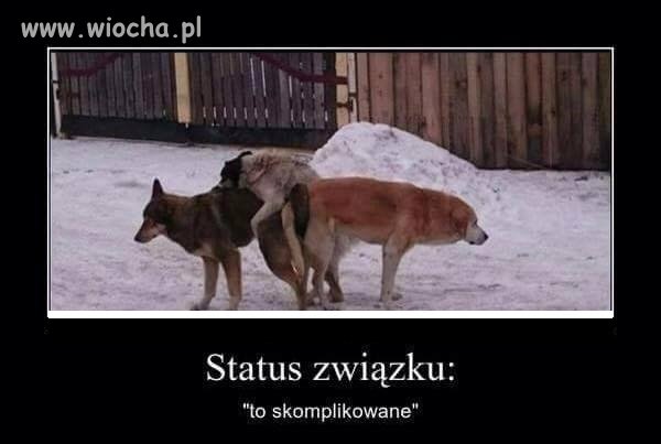 Status 