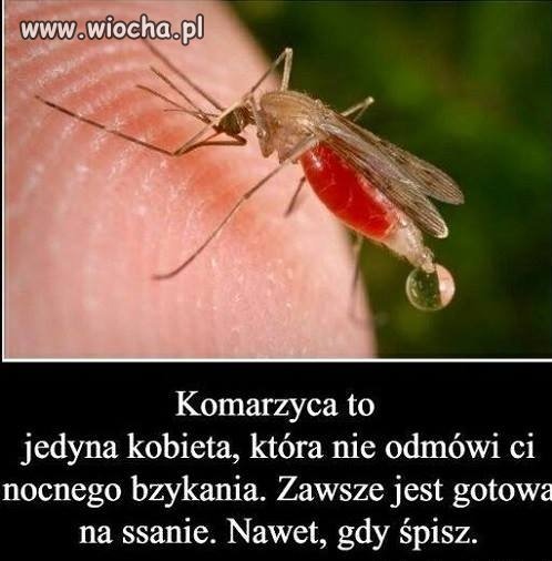 Ssanie całą dobe