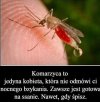 Ssanie całą dobe