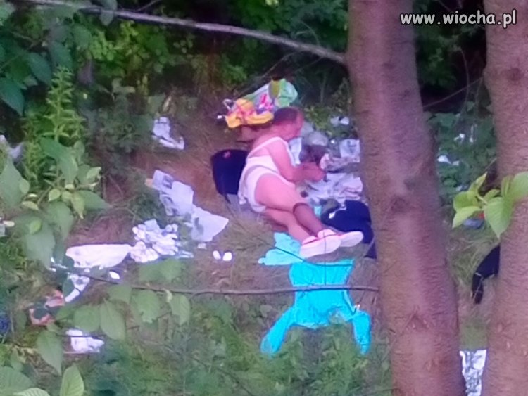 Grzybiarz po sezonie 