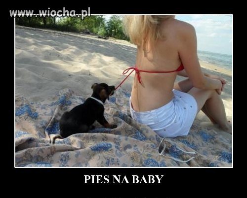 Bez tytułu