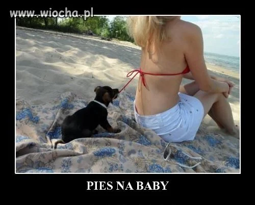 Bez tytułu