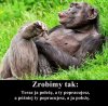 Nie ma to jak 