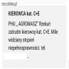 Kierowca ze stopniem niepełnosprawności