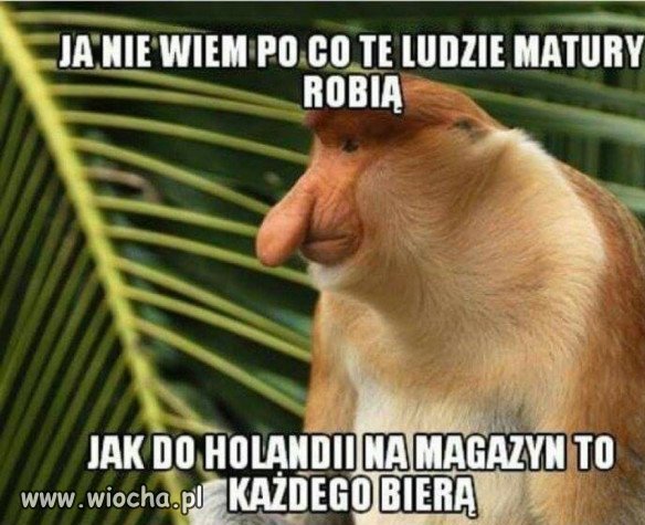 No i po co...?