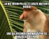 No i po co...?