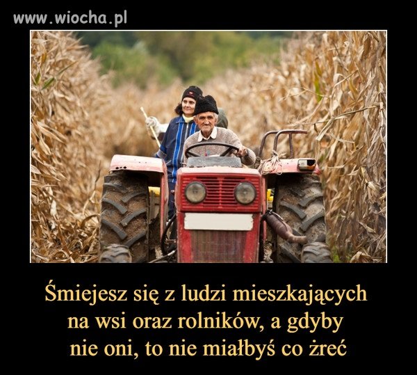 Prawdziwe mieszczuchy