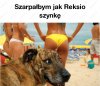 A taki wakacyjny humorek