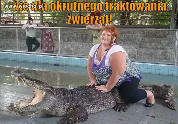 Nie dla okrutnego