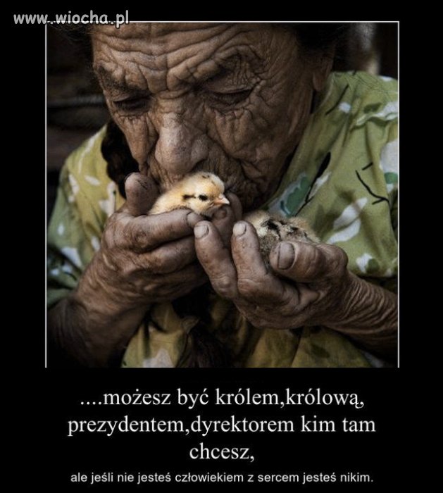 Z życia wzięte