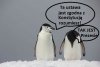  Trybunał Konstytucyjny 