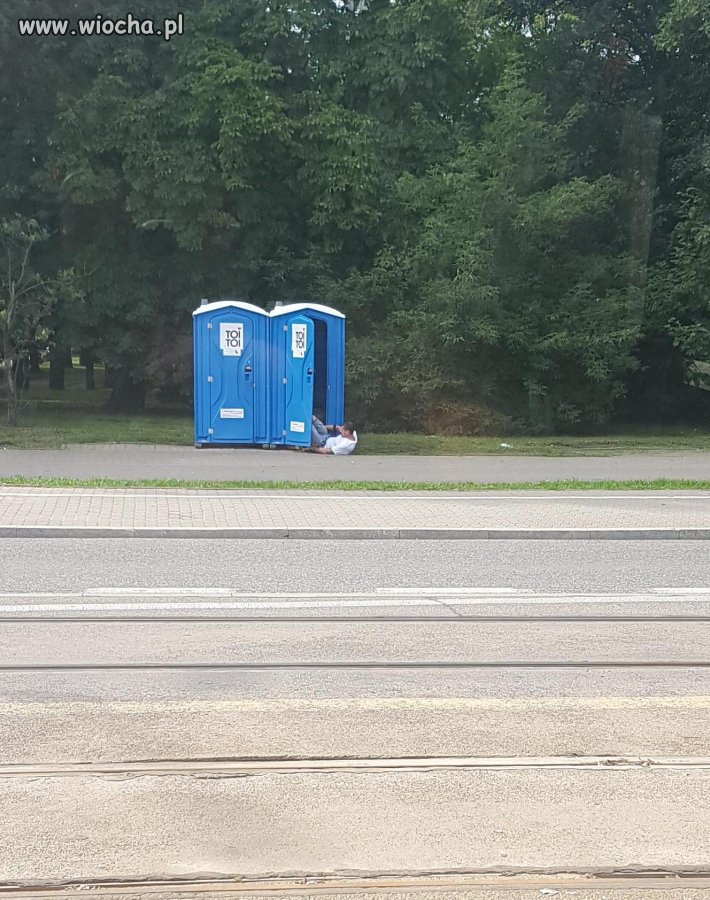 Toi Toika może wciągnąć każdego