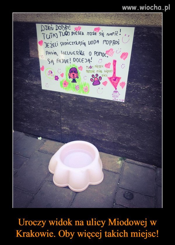 Z całym szacunkiem dla takich akcji