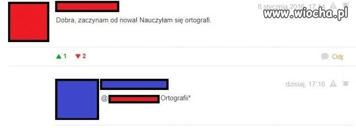 Ironia losu