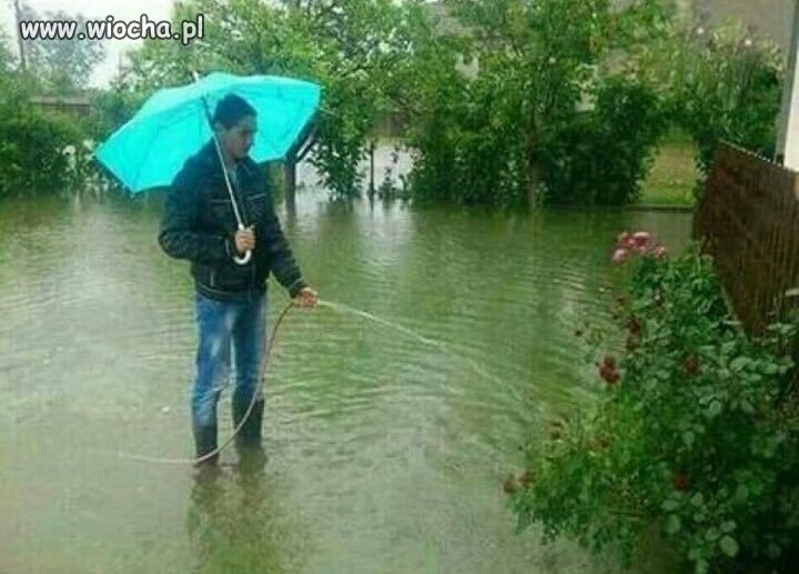 Bardzo mądry.