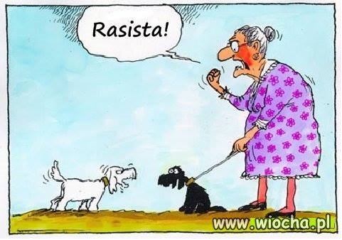 Rasista