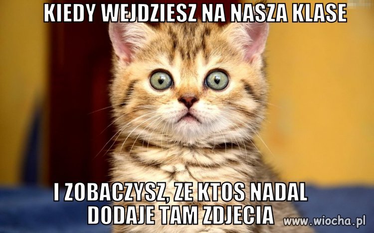 Nooo, tak jest