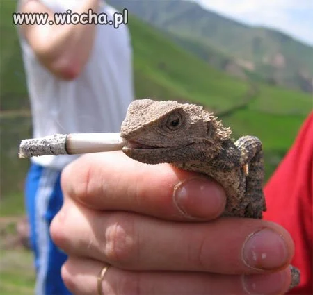 Palenie zabija!