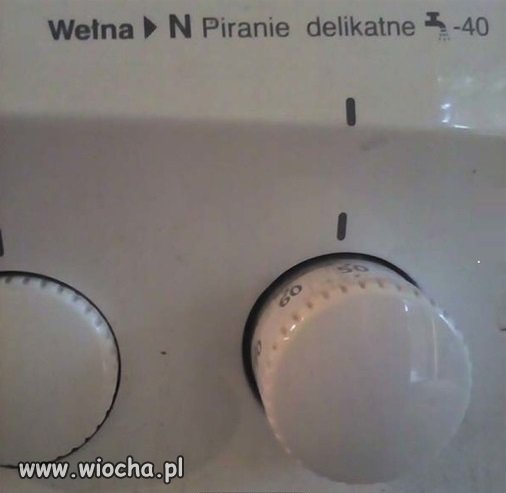 Kolega narzekał, że znikają mu skarpetki w praniu