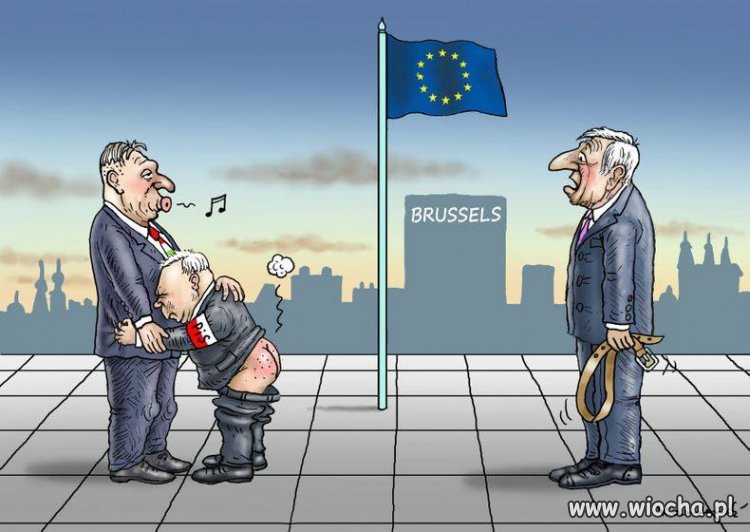 Przy 27 do 1 też liczyli na Węgry... 